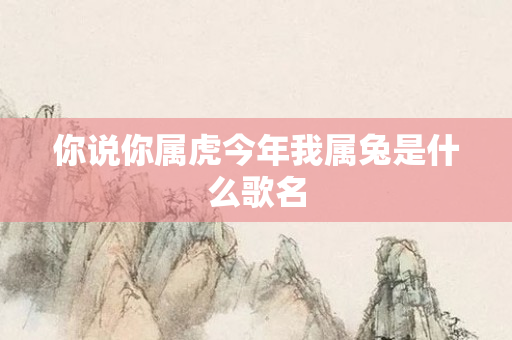 你说你属虎今年我属兔是什么歌名