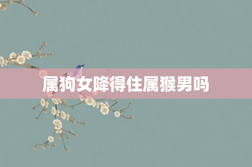 属狗女降得住属猴男吗