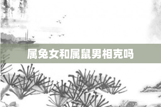 属兔女和属鼠男相克吗