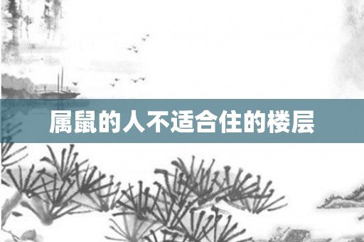 属鼠的人不适合住的楼层