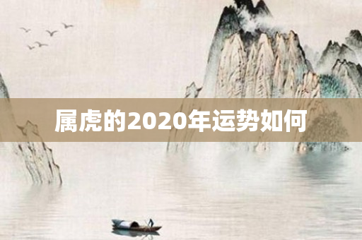 属虎的2020年运势如何