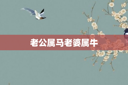 老公属马老婆属牛