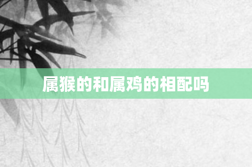 属猴的和属鸡的相配吗