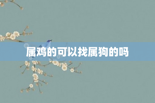 属鸡的可以找属狗的吗