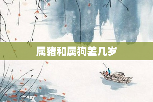 属猪和属狗差几岁