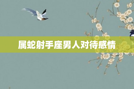 属蛇射手座男人对待感情