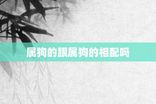 属狗的跟属狗的相配吗