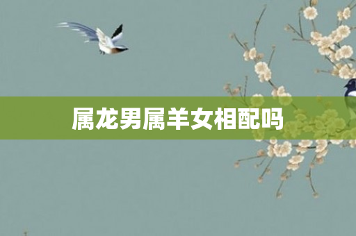 属龙男属羊女相配吗
