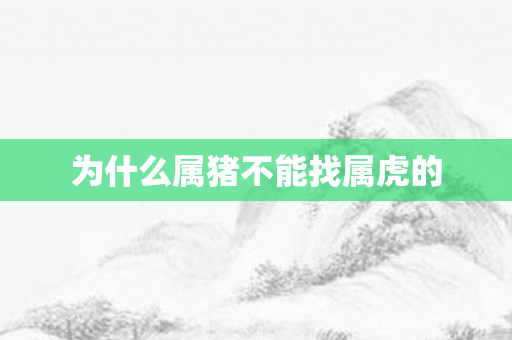 为什么属猪不能找属虎的