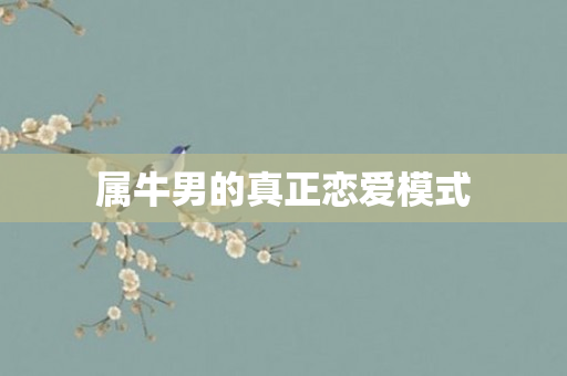 属牛男的真正恋爱模式