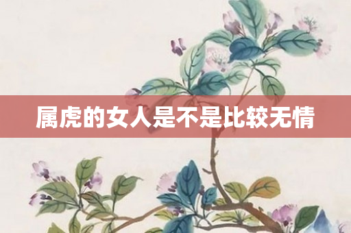 属虎的女人是不是比较无情