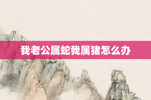我老公属蛇我属猪怎么办