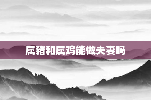 属猪和属鸡能做夫妻吗