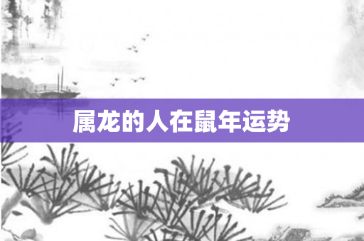属龙的人在鼠年运势