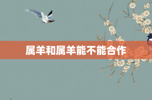 属羊和属羊能不能合作