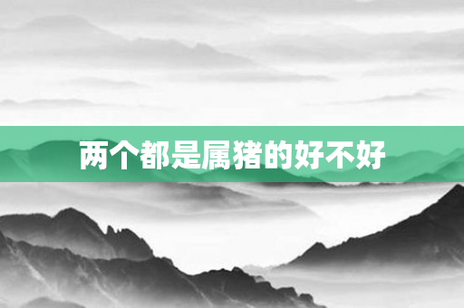 两个都是属猪的好不好