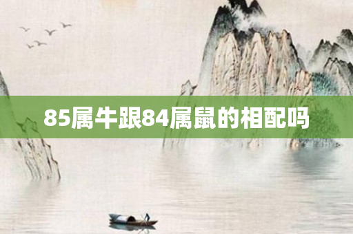 85属牛跟84属鼠的相配吗