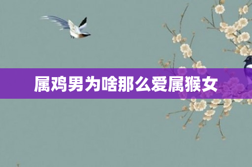 属鸡男为啥那么爱属猴女
