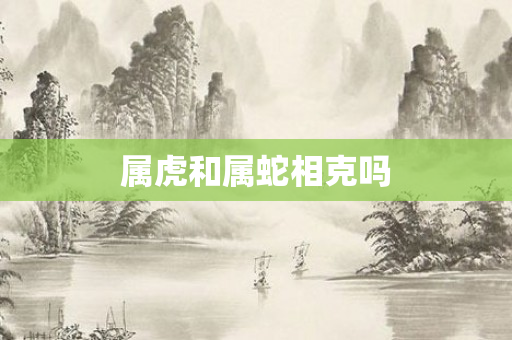 属虎和属蛇相克吗