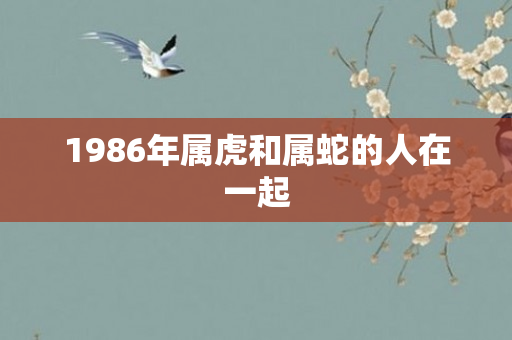 1986年属虎和属蛇的人在一起