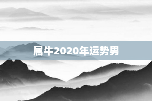 属牛2020年运势男