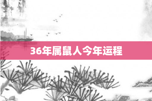 36年属鼠人今年运程
