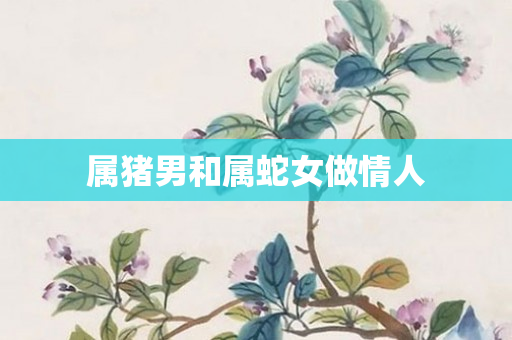 属猪男和属蛇女做情人