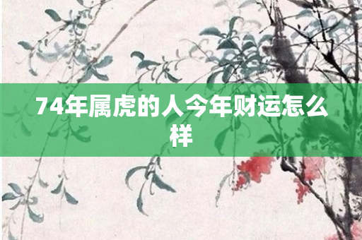 74年属虎的人今年财运怎么样