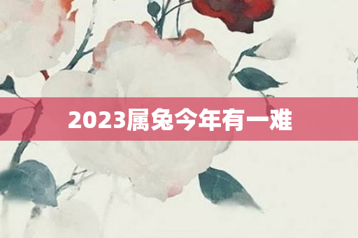 2023属兔今年有一难