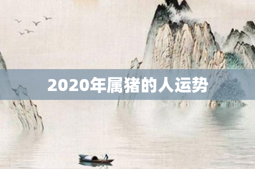 2020年属猪的人运势