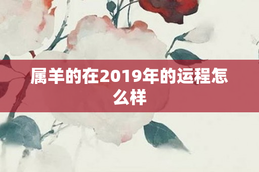 属羊的在2019年的运程怎么样