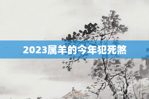 2023属羊的今年犯死煞