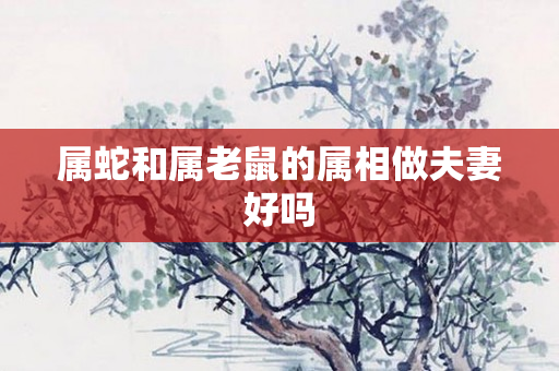 属蛇和属老鼠的属相做夫妻好吗