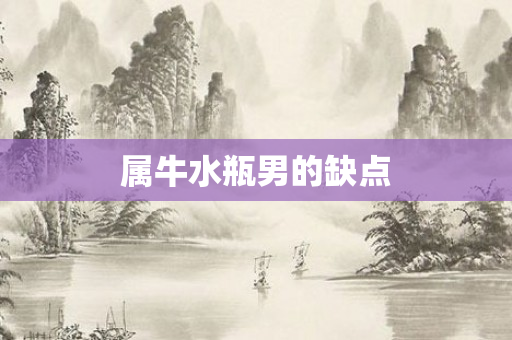 属牛水瓶男的缺点