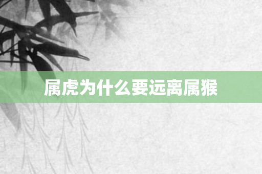 属虎为什么要远离属猴