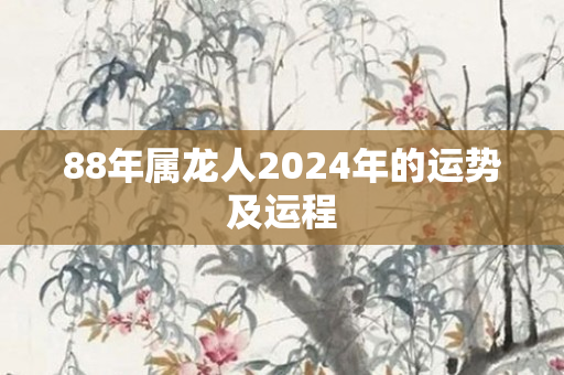 88年属龙人2024年的运势及运程