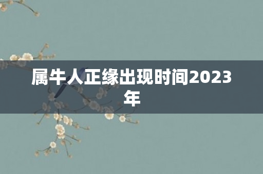 属牛人正缘出现时间2023年