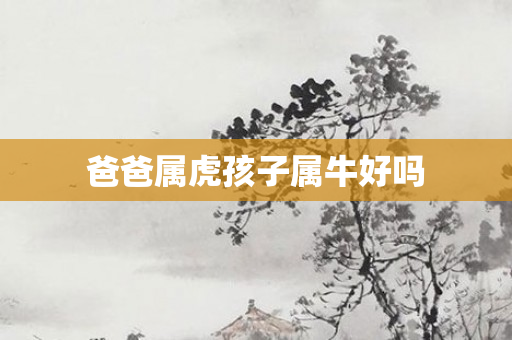 爸爸属虎孩子属牛好吗