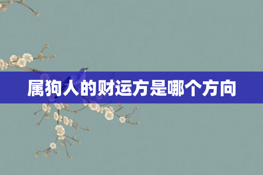 属狗人的财运方是哪个方向