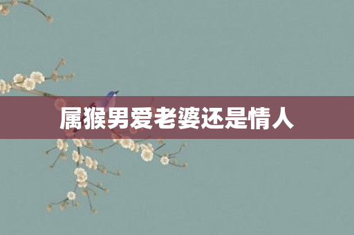 属猴男爱老婆还是情人