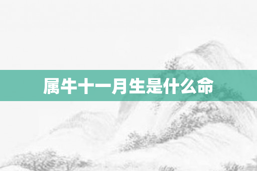 属牛十一月生是什么命