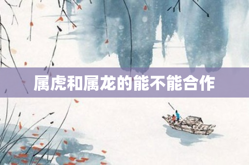 属虎和属龙的能不能合作