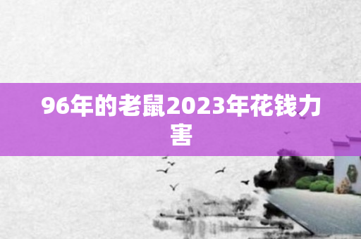 96年的老鼠2023年花钱力害