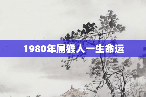 1980年属猴人一生命运