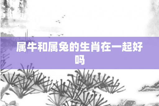 属牛和属兔的生肖在一起好吗