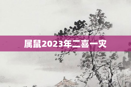 属鼠2023年二喜一灾