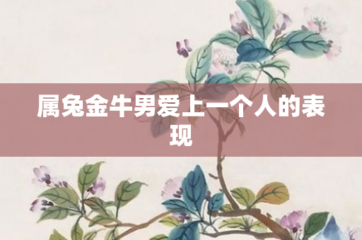 属兔金牛男爱上一个人的表现