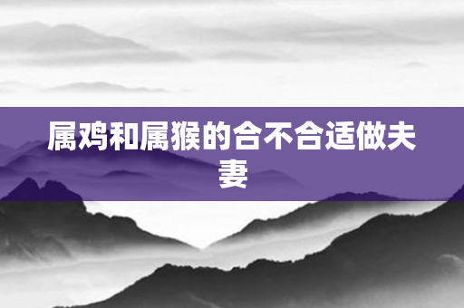 属鸡和属猴的合不合适做夫妻