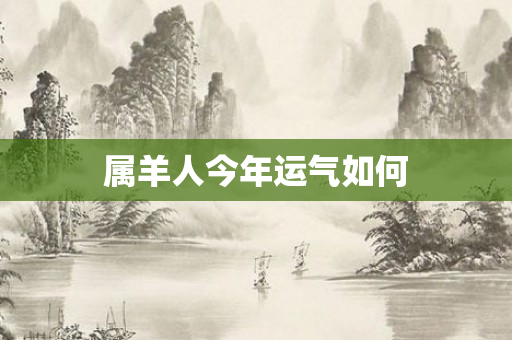 属羊人今年运气如何