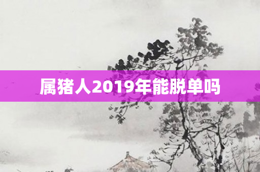 属猪人2019年能脱单吗